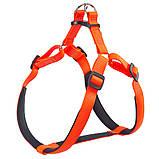 Шлейка DAYTONA P MEDIUM Ferplast Ферпласт для собак з нейлону, колір в асортименті, фото 5