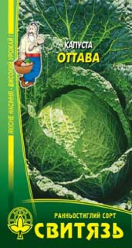 Насіння капусти савойська Оттава 0.5г Свитязь, фото 1