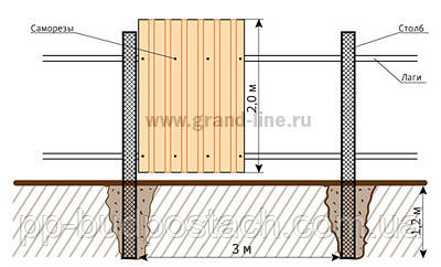 Паркани для дачі Паркани для дачі