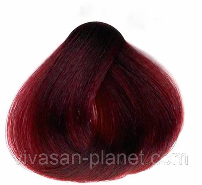 SanoTint Фарба для волосся Класик, лісова ягода