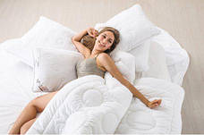 Зимовий ковдру ІДЕЯ Air Dream Exclusive 140*210, фото 5