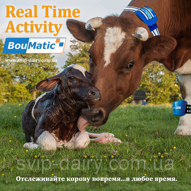 Система визначення полювання BouMatic RealTime Activity