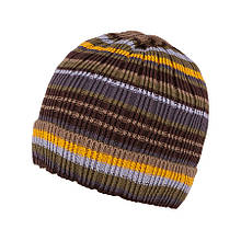 Демісезонна шапка для хлопчика TuTu арт. 3-002508(46-50, 50-54) 46 див., Бежевий