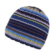 Демісезонна шапка для хлопчика TuTu арт. 3-002508(46-50, 50-54) 50-54 см, Блакитний