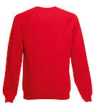 Дитячий світшот преміум Premium raglan sweat kids, фото 3