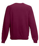 Дитячий світшот преміум Premium raglan sweat kids, фото 5