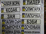Номер на дитячу коляску "Маміна Радість", фото 8