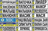 Номер на дитячу коляску "Соломія", фото 6