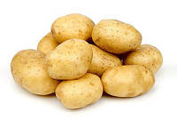 Семена Картофеля пакетированные