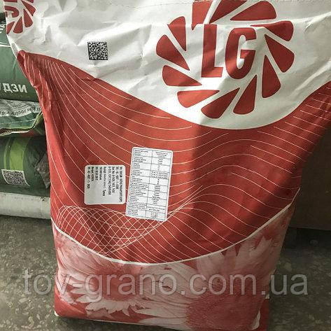 Насіння соняшника Limagrain 5485