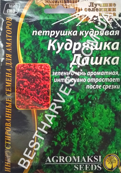 Насіння петрушки кучерявої «Кучерява Дашка» 10 г, інкрустовані