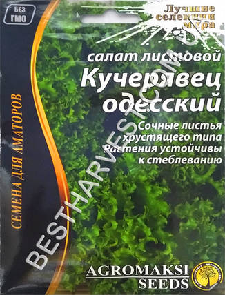 Насіння салату «Кучерявець одеський» 10 г, фото 1