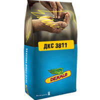 Насіння кукурудзи Монсанто ДКС 3811 (Monsanto DKС 3811) ФАО 320