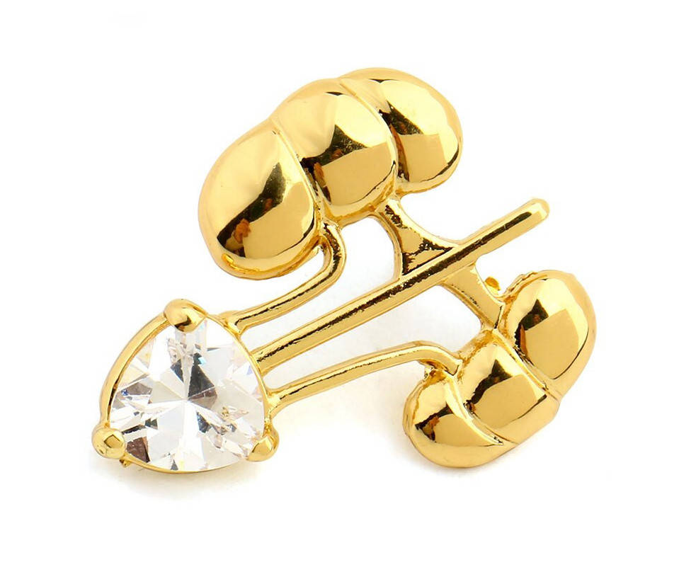 

Брошь медицинская «Почки».