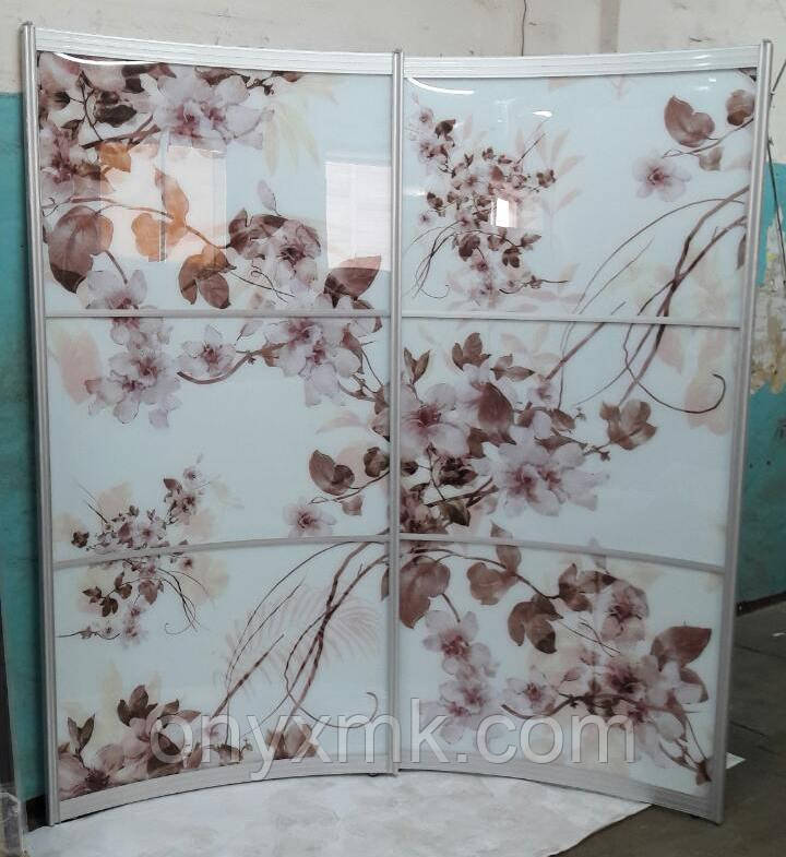 Шафа радіусна з квітами