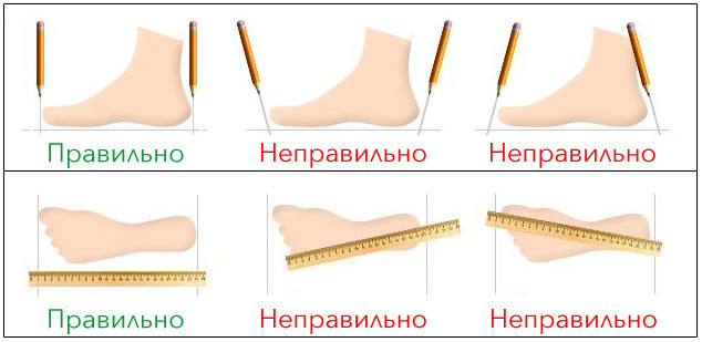 Вимірювання довжини стельки або як взнати свій розмір?. Статьи компании  «Good Shoes Женская обувь»