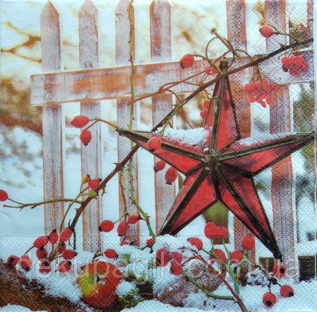 Серветка для декупажу 33х33см, НГК-3, фото 1