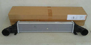 Інтеркулер Mercedes w211 E-Class інтеркулер Мерседес 211