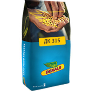 Насіння кукурудзи МОНСАНТО ДК 315 (Monsanto DK 315) ФАО 310