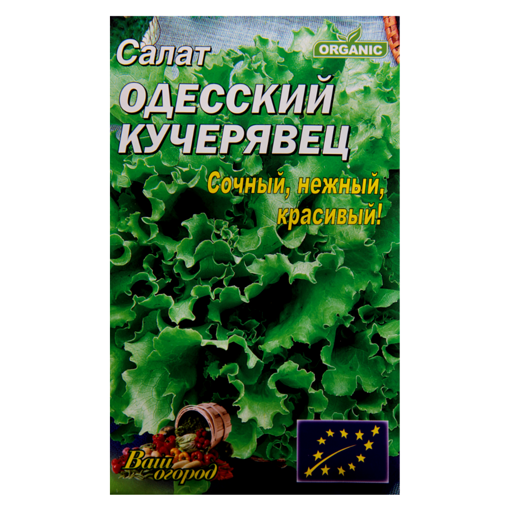 Насіння Салат Одеський кучерявець середньостиглий 5 г великий пакет, фото 1