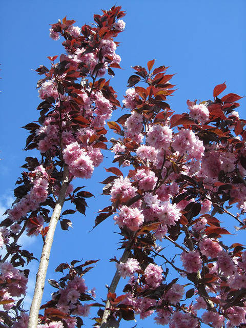 Қыздармен секс және спермы онлайн Жалаңаш қыздар шашады