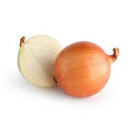 Насіння цибулі ріпчастої проф