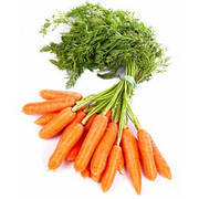 Насіння моркви проф