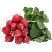 Насіння редису проф