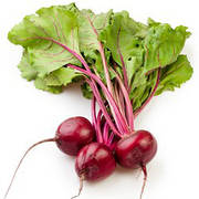 Насіння буряку столового проф