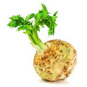 Насіння селери кореневої проф