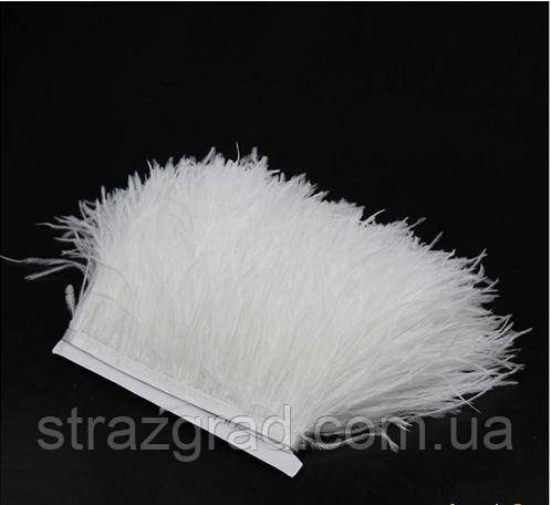 Пір'я страуса на стрічці. Колір Білий. Перо 8-15см. Ціна за 0,5 м., фото 1