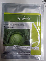 Насіння капусти Лексикон F1 (Syngenta) 2500 насінин ― середньо-пізня (120-125 днів), білокачанна, гібрид