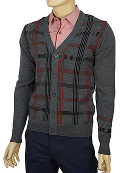 Якісний чоловічий кардиган Ferraro 0440 Н7