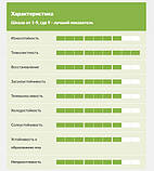 Насіння газонної трави Ornamental (Орнаментал) DLF Trifolium 20кг, фото 4