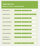 Насіння газонної трави Mini (Міні) DLF Trifolium 20кг, фото 2