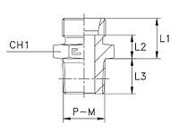 Адаптер прямий DIN24* METR 12L(Ш) - BSP-OR 3/8"(Ш)