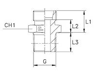 Адаптер прямий DIN24* METR 10L(Ш) - BSPT 1/4"(Ш)