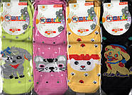 Шкарпетки дитячі демісезонні бавовна Marde ароматизовані на 9-11 років (20 розмір) асорті 02130, фото 3