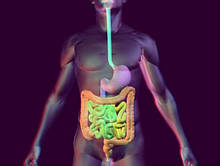 Бади для шлунково-кишкового тракту