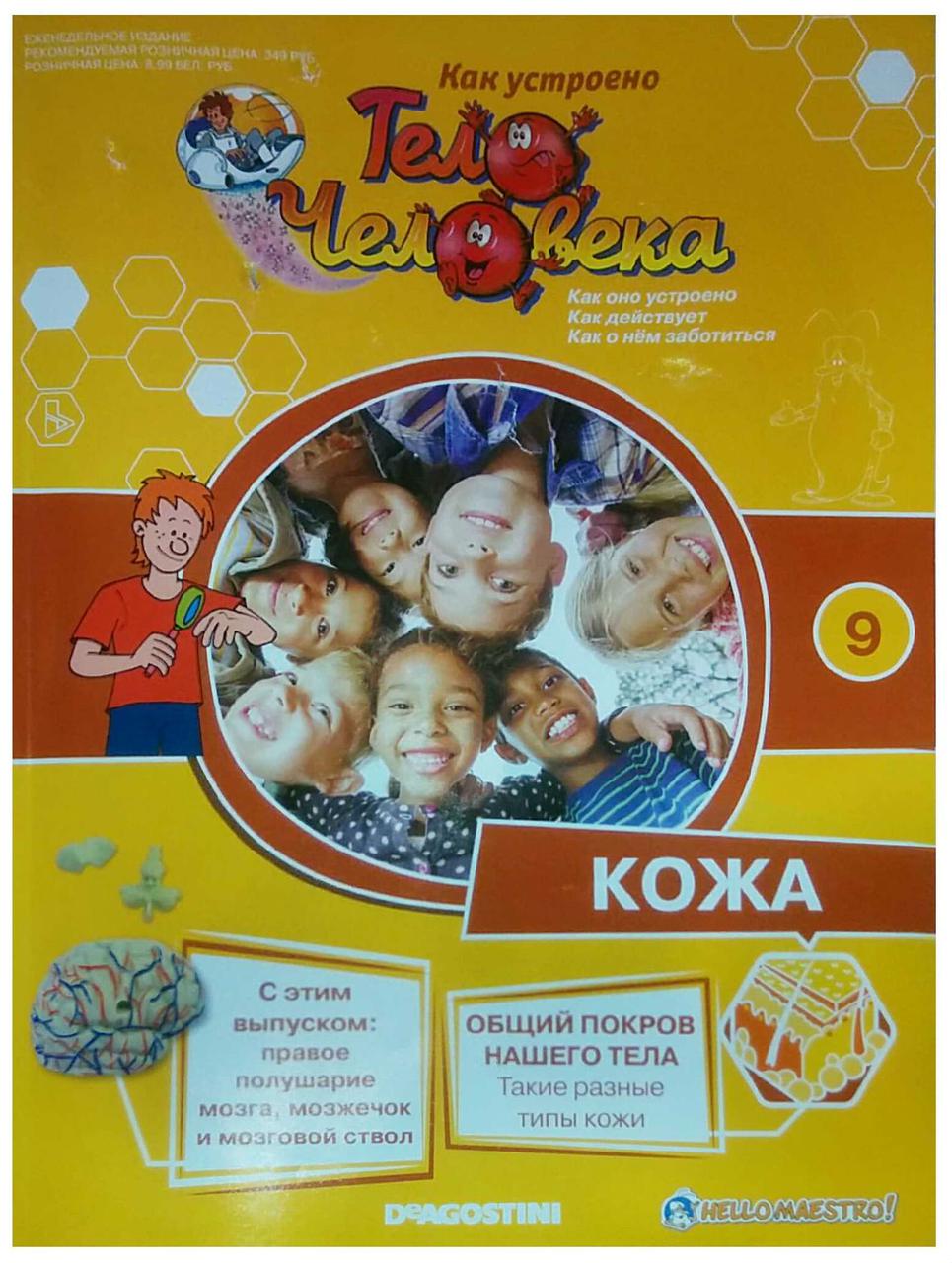 Як Влаштовано Тіло Людини (ДеАгостини) №09, фото 1