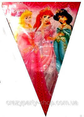 Гірлянда-прапорці  Принцеси  Дісней, фото 1