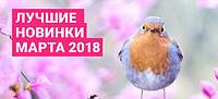Труси Miss Beautiful Туреччина