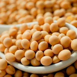 купити насіння сої