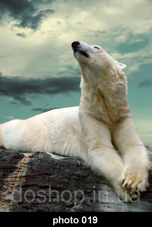 Настінний нагрівач-картина "Білий ведмідь", фото 1