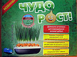 Домашня гідропонна установка для вирощування зеленої цибулі "ЩОДОРОСТ", фото 3