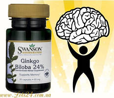 Гінкго білоба для мотивації інтелекту пам'яті мозкового кровообігу Swanson Ginkgo Biloba
