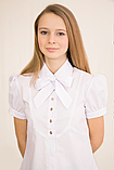 Біла шкільна блузка з брошкою бантом.Бавовна  146р, фото 3
