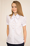 Біла шкільна блузка з брошкою бантом.Бавовна  146р, фото 2