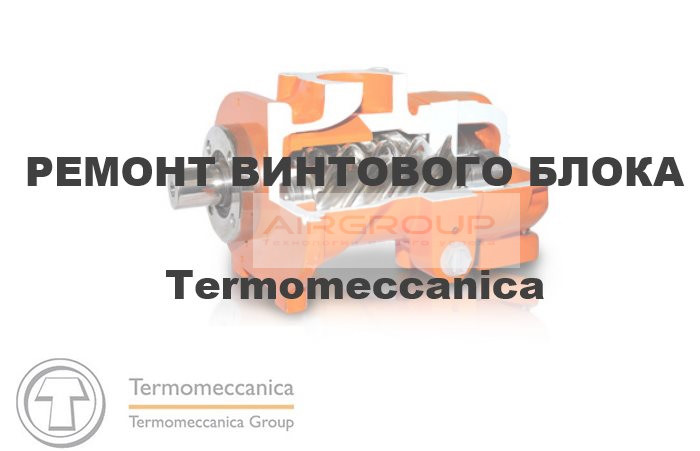 Ремонт гвинтового блока TERMOMECCANICA, фото 1