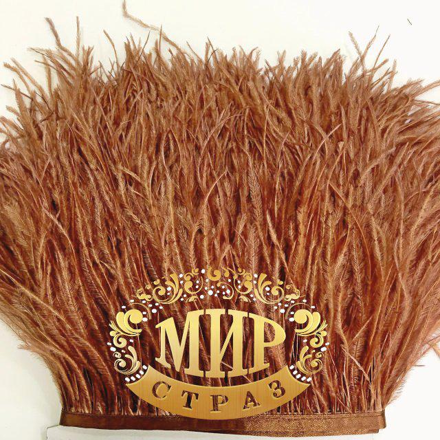 Тасьма страусинна Колір Foxy Ціна за 0.5м